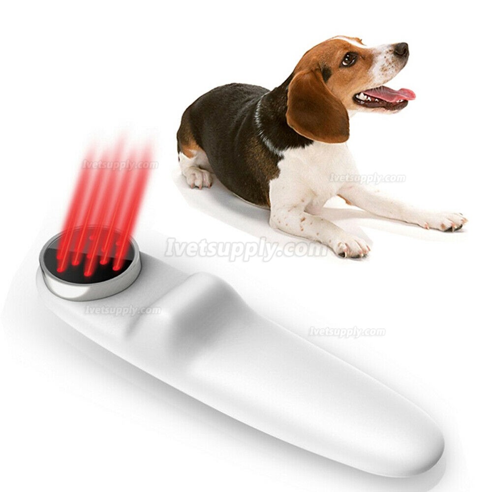 Veterinary Use Animals Clinic Pets Dogs Cats Horses 808nm Laser Therapy Device